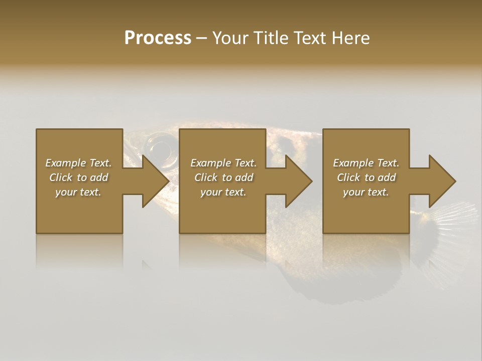 A Black And Yellow Fish Is In The Water PowerPoint Template