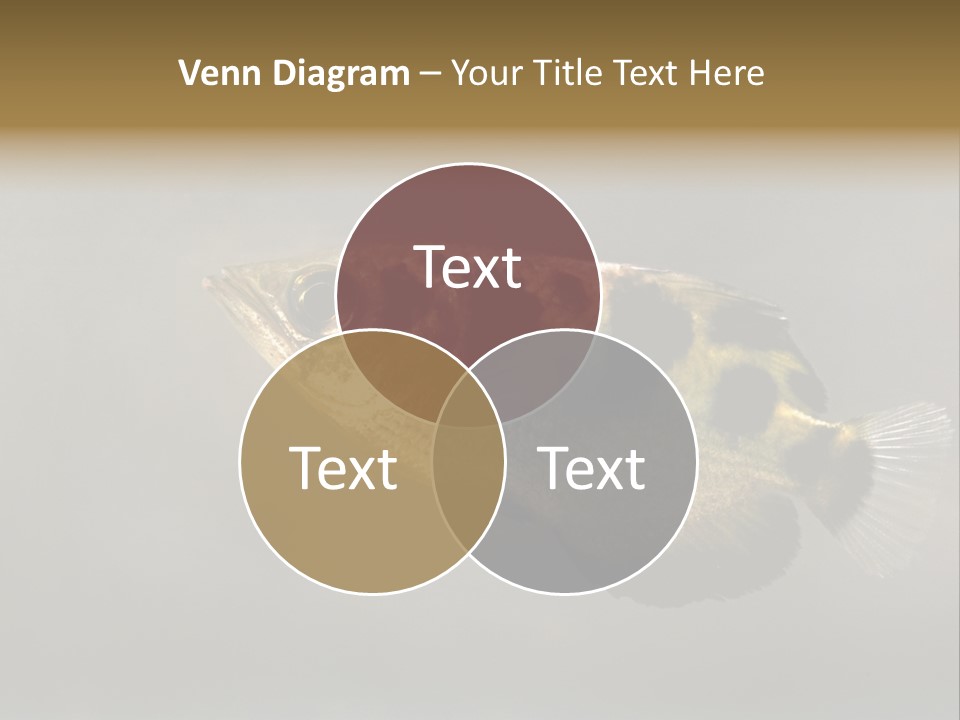 A Black And Yellow Fish Is In The Water PowerPoint Template