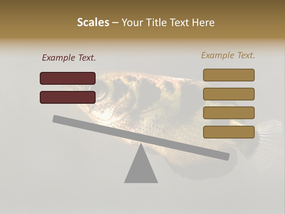 A Black And Yellow Fish Is In The Water PowerPoint Template