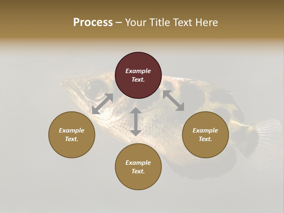 A Black And Yellow Fish Is In The Water PowerPoint Template