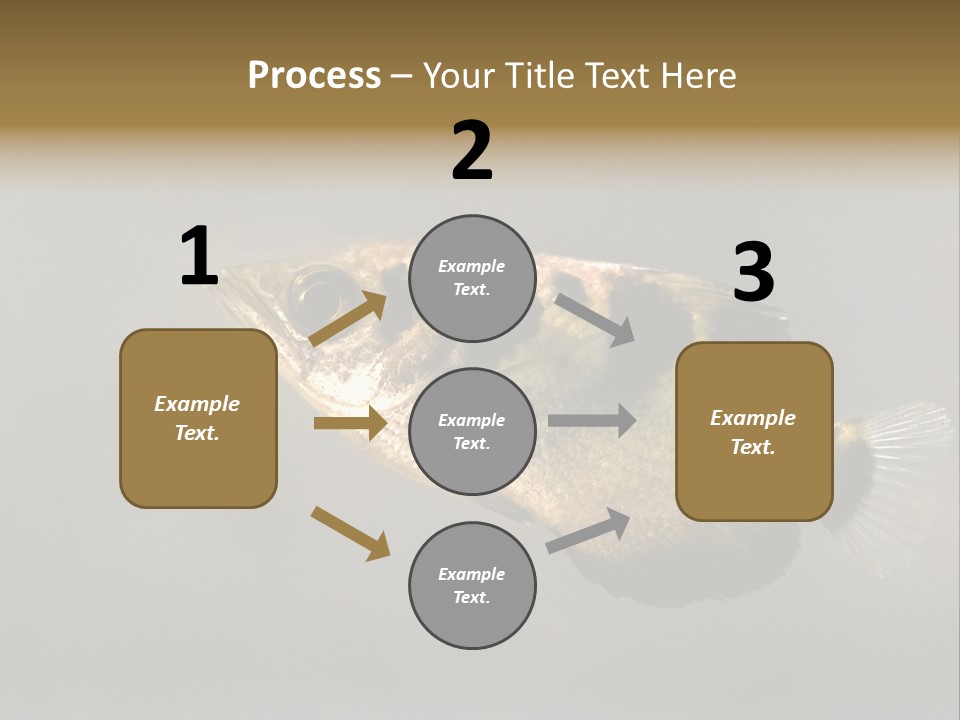 A Black And Yellow Fish Is In The Water PowerPoint Template