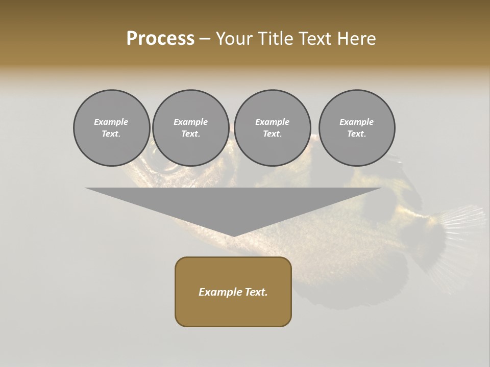 A Black And Yellow Fish Is In The Water PowerPoint Template