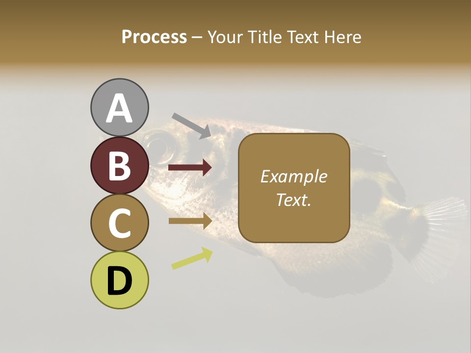 A Black And Yellow Fish Is In The Water PowerPoint Template