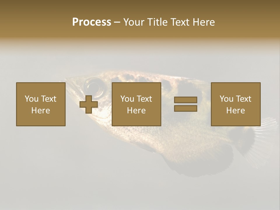 A Black And Yellow Fish Is In The Water PowerPoint Template