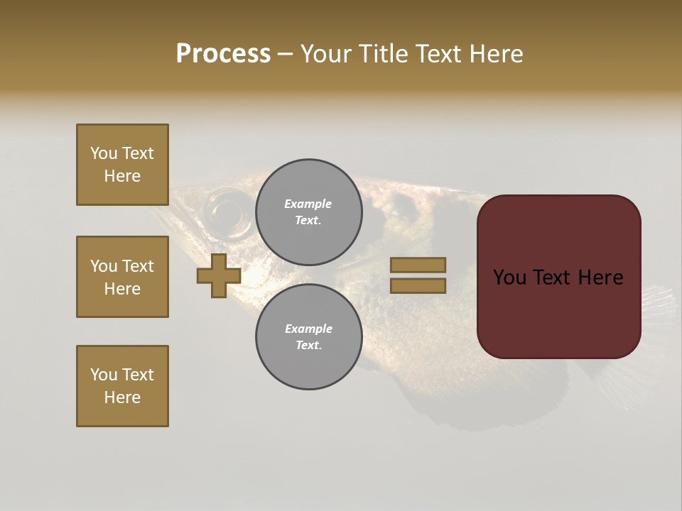 A Black And Yellow Fish Is In The Water PowerPoint Template