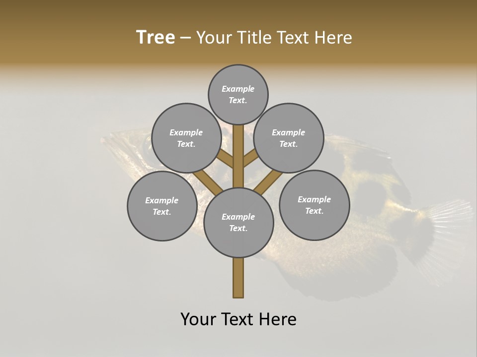 A Black And Yellow Fish Is In The Water PowerPoint Template