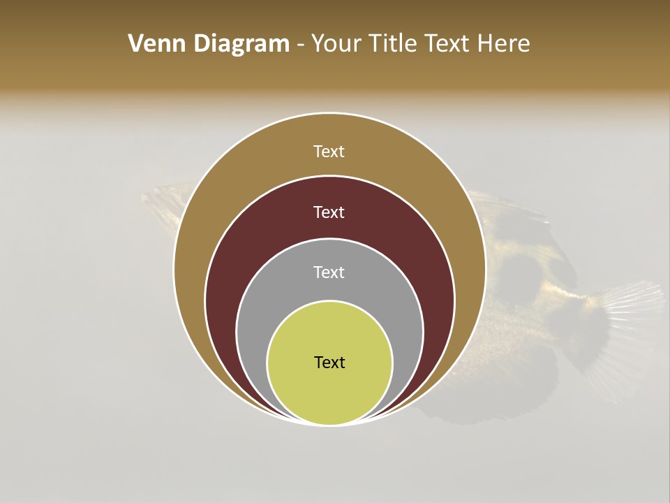 A Black And Yellow Fish Is In The Water PowerPoint Template