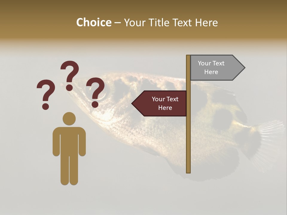 A Black And Yellow Fish Is In The Water PowerPoint Template