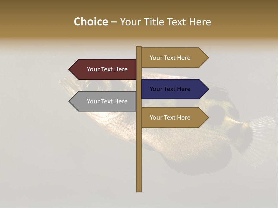 A Black And Yellow Fish Is In The Water PowerPoint Template