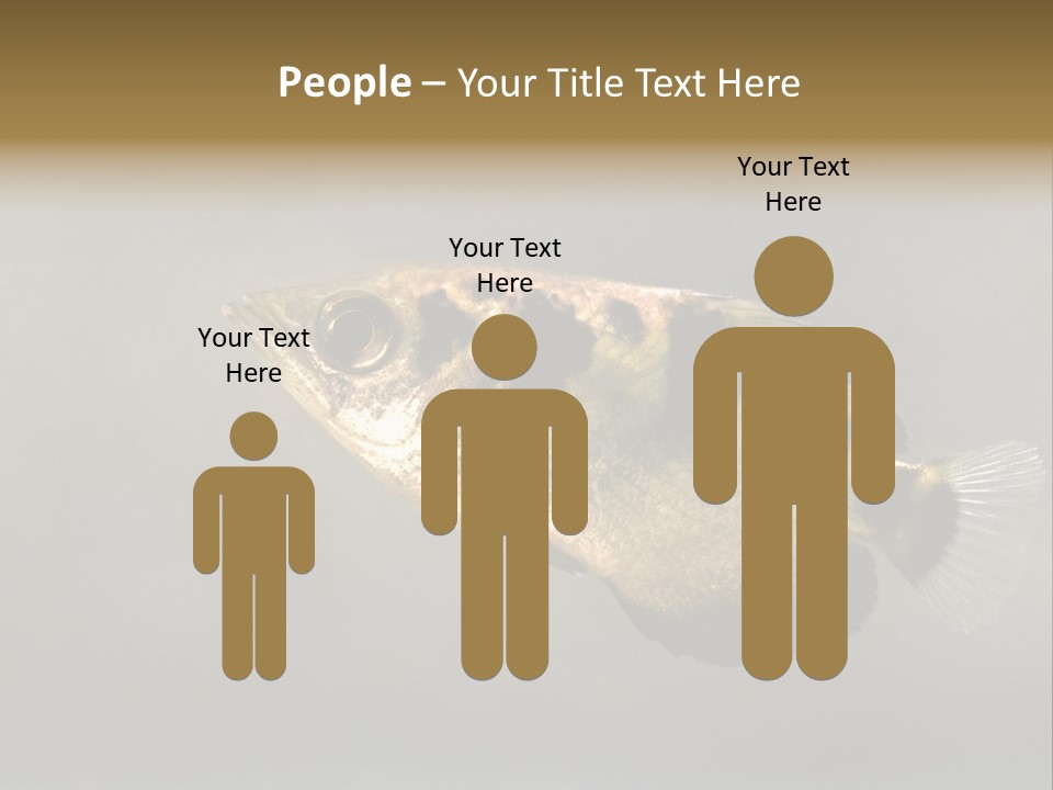 A Black And Yellow Fish Is In The Water PowerPoint Template