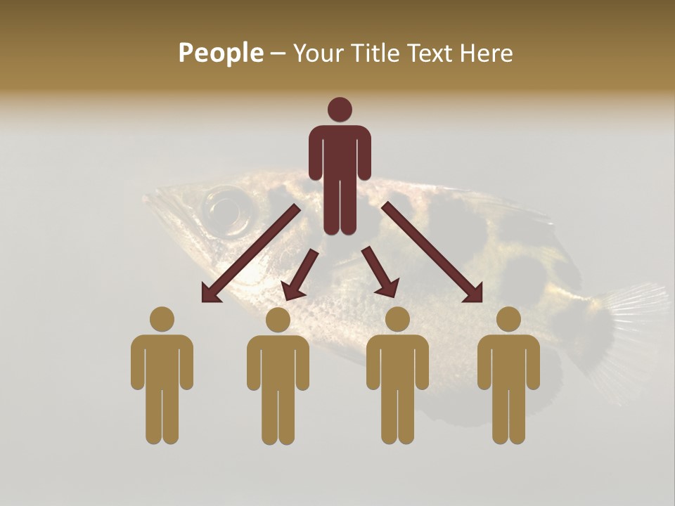 A Black And Yellow Fish Is In The Water PowerPoint Template