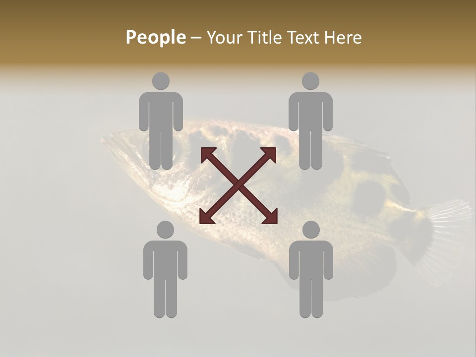 A Black And Yellow Fish Is In The Water PowerPoint Template