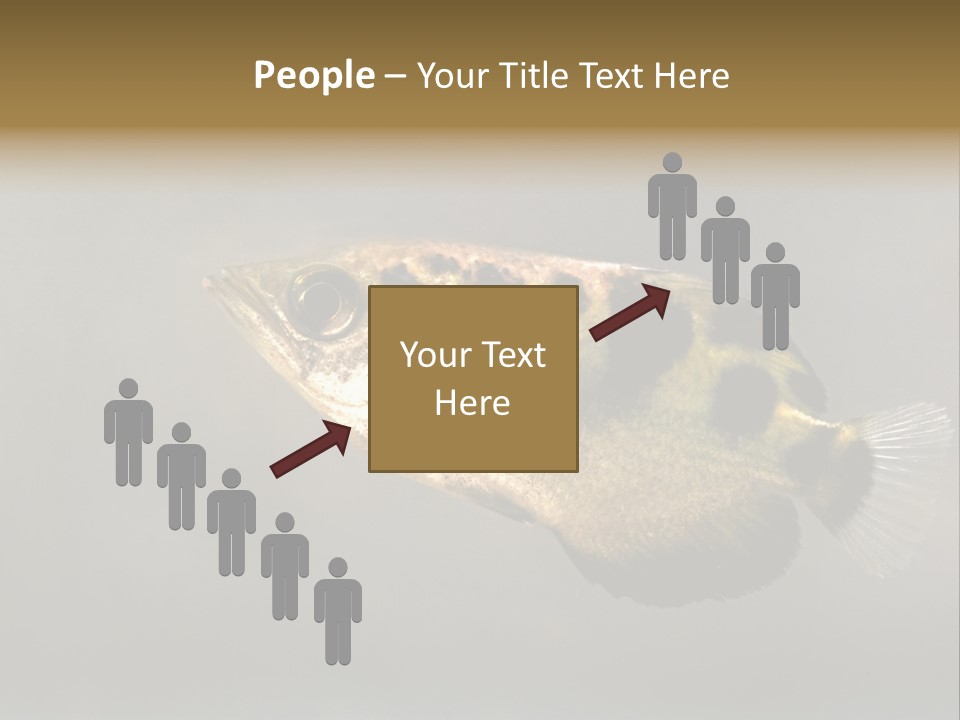 A Black And Yellow Fish Is In The Water PowerPoint Template