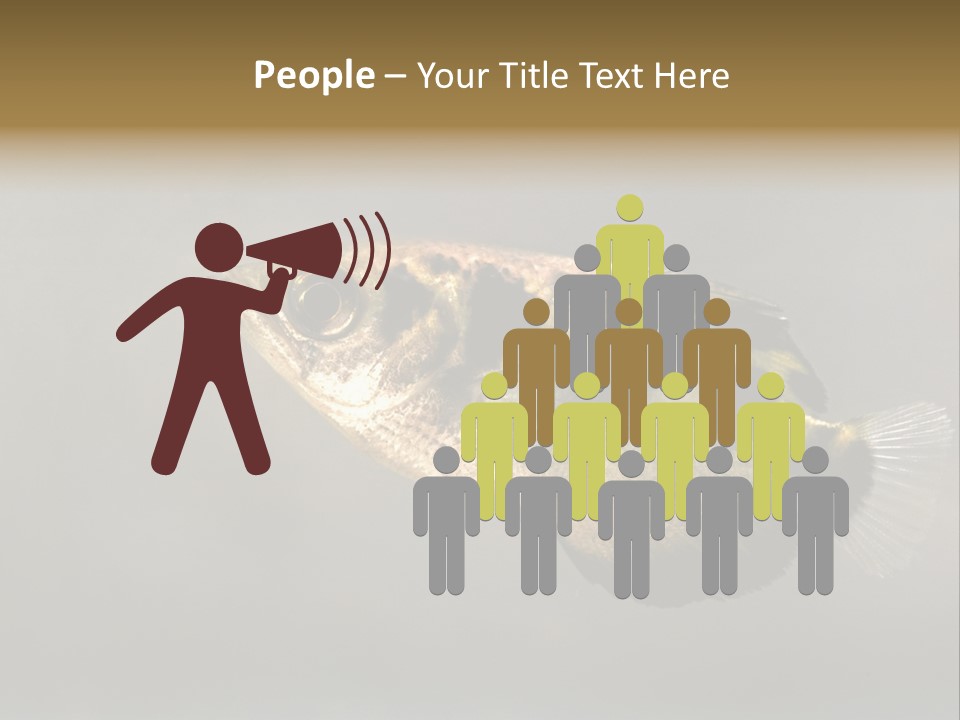 A Black And Yellow Fish Is In The Water PowerPoint Template