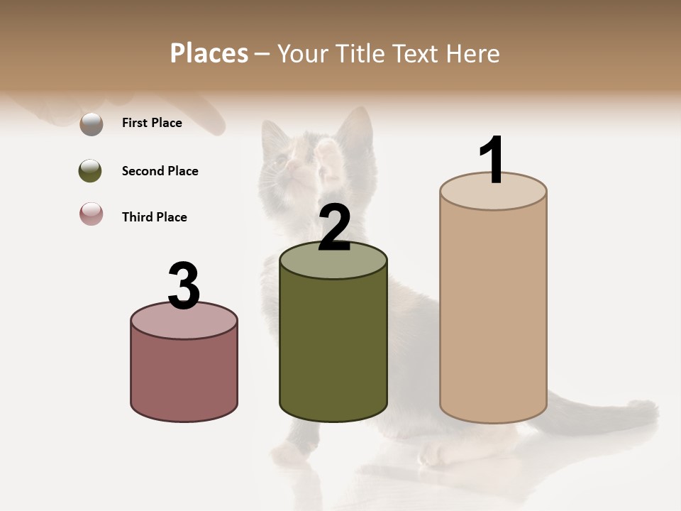 Horizontal Pin Cooked PowerPoint Template