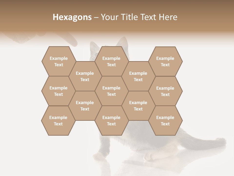 Horizontal Pin Cooked PowerPoint Template