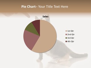 Horizontal Pin Cooked PowerPoint Template