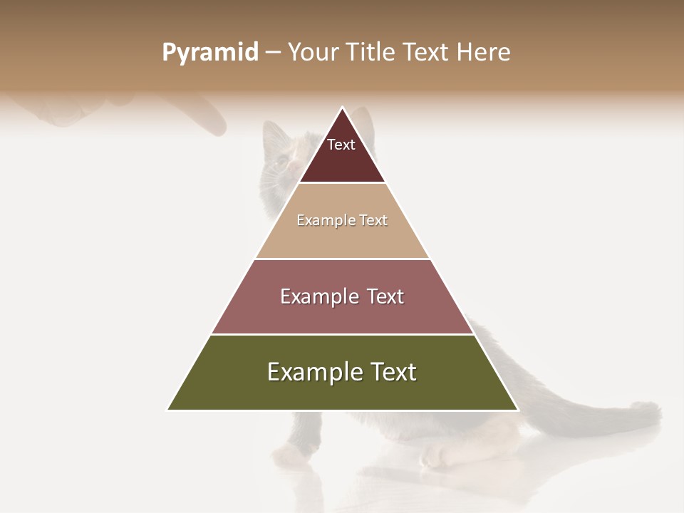 Horizontal Pin Cooked PowerPoint Template