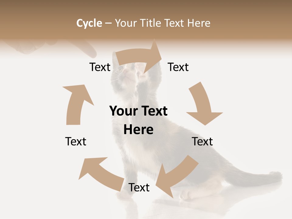 Horizontal Pin Cooked PowerPoint Template
