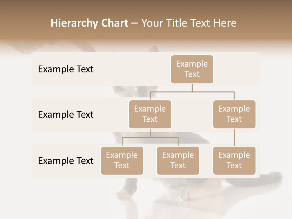 Horizontal Pin Cooked PowerPoint Template