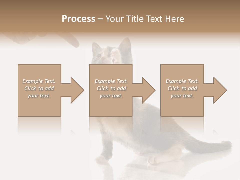 Horizontal Pin Cooked PowerPoint Template