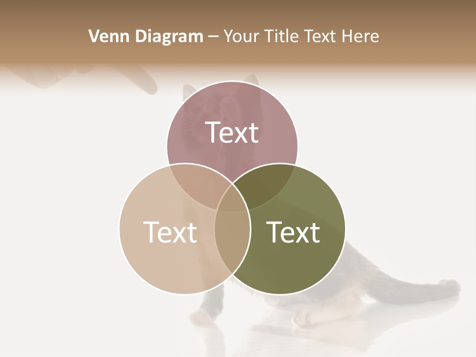 Horizontal Pin Cooked PowerPoint Template