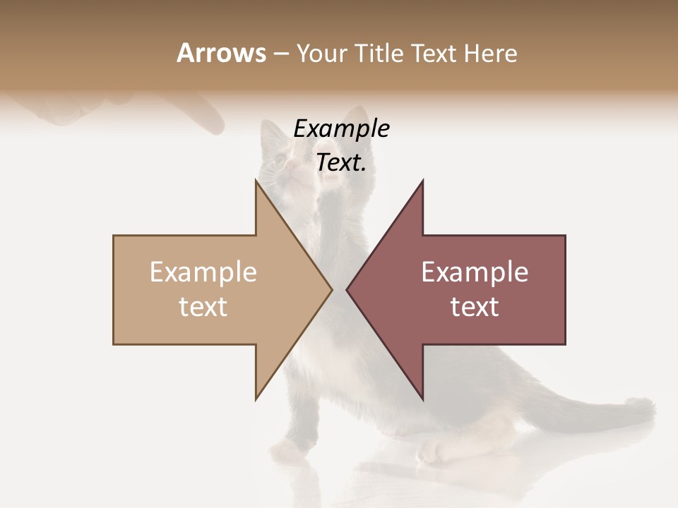 Horizontal Pin Cooked PowerPoint Template
