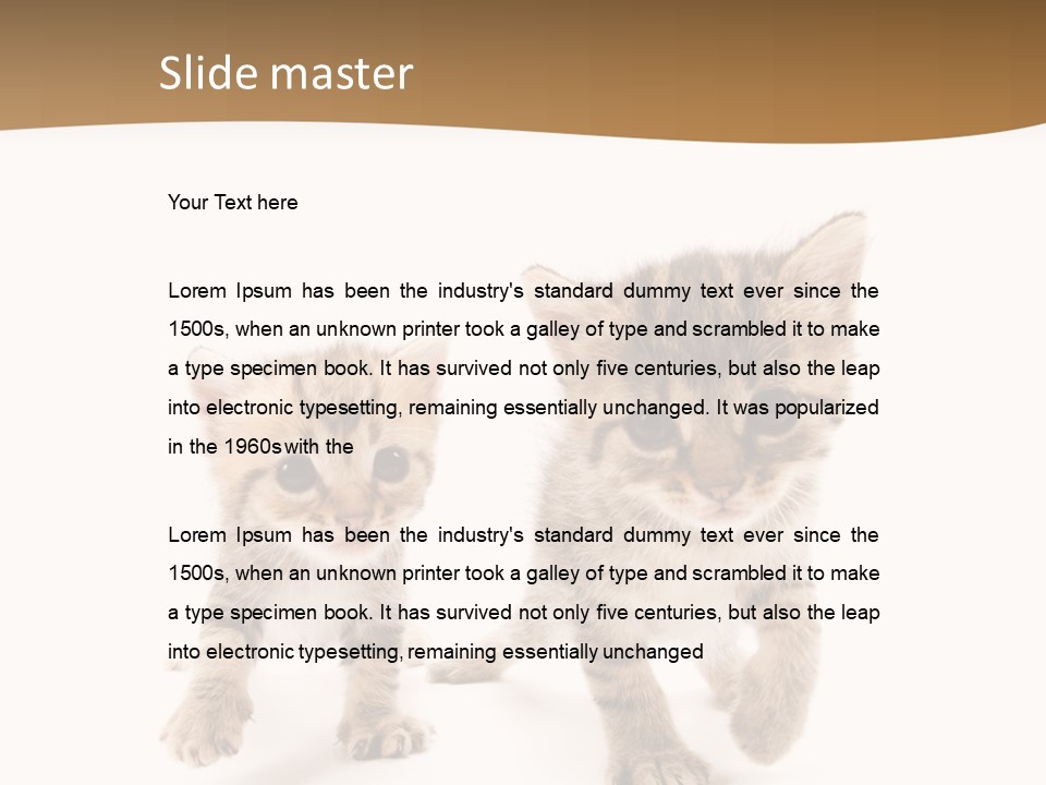 Sweet Furry Isolated PowerPoint Template