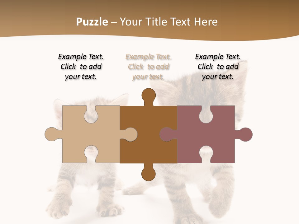 Sweet Furry Isolated PowerPoint Template