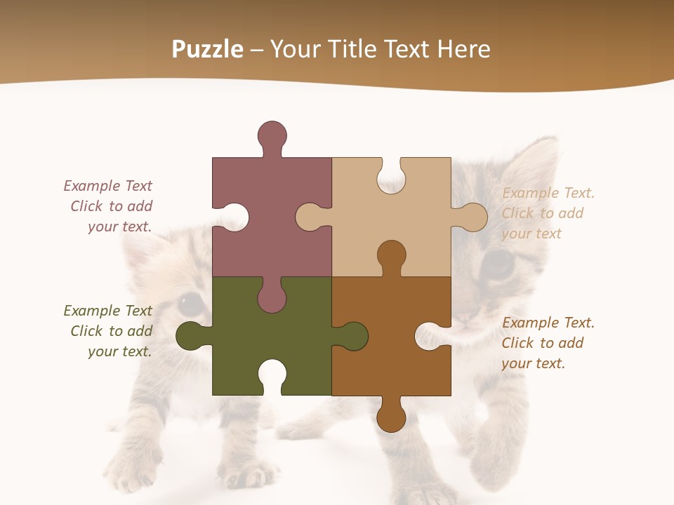Sweet Furry Isolated PowerPoint Template