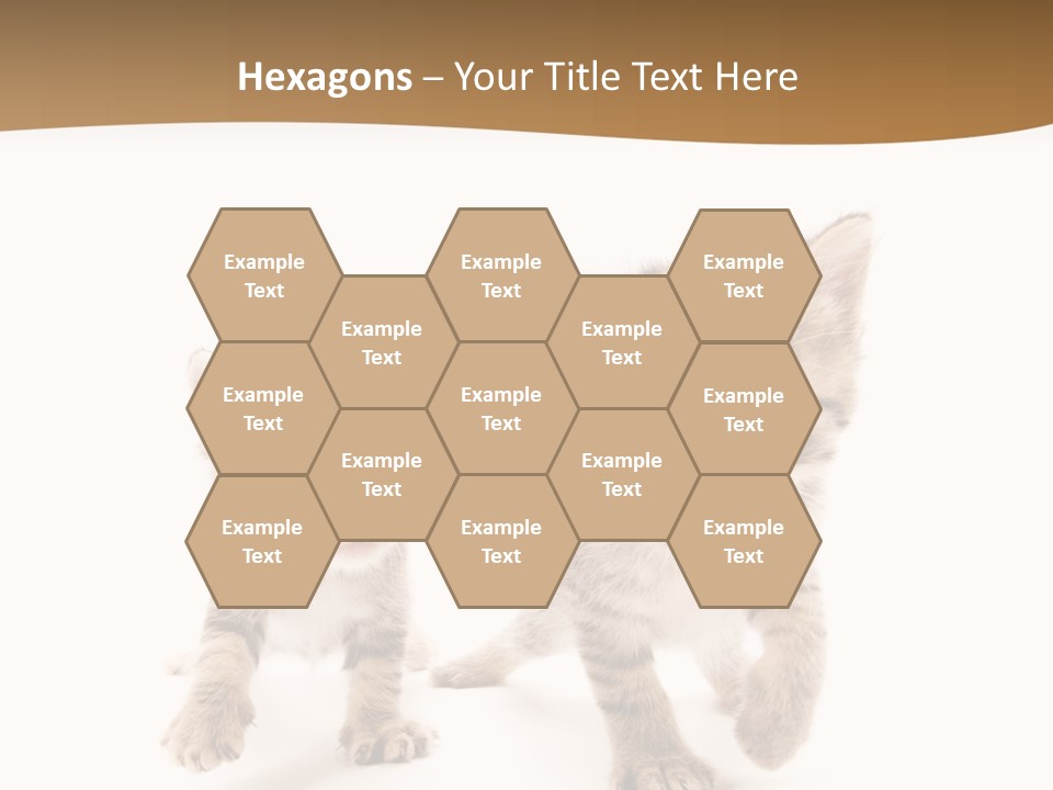 Sweet Furry Isolated PowerPoint Template