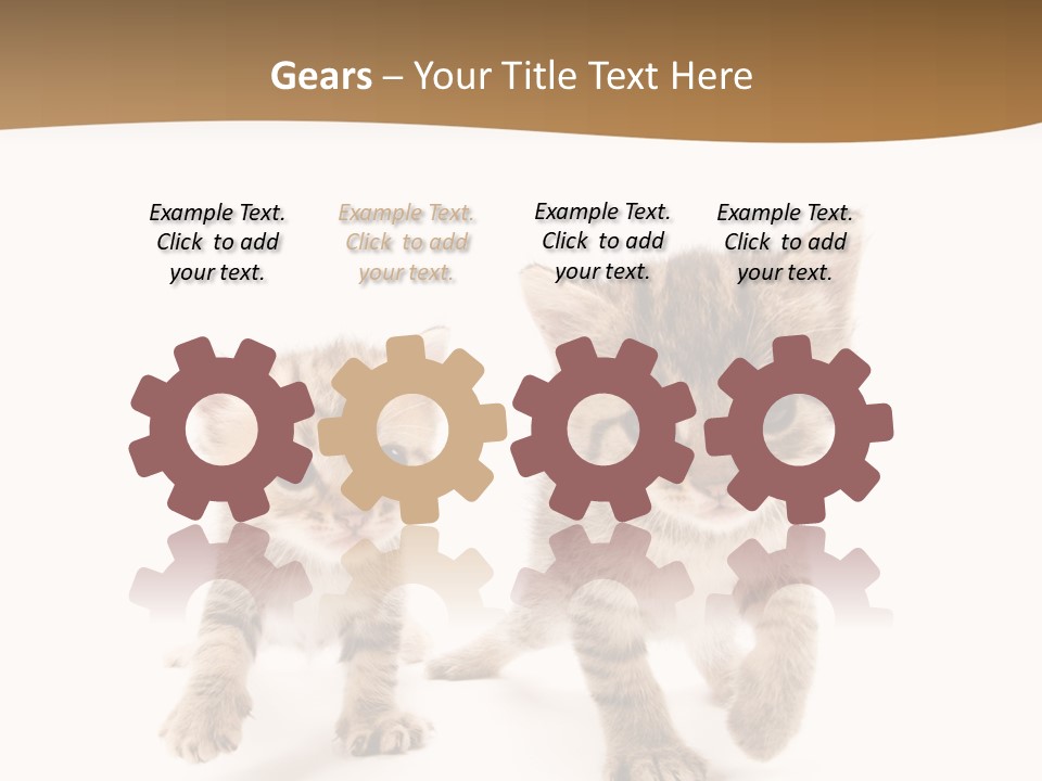 Sweet Furry Isolated PowerPoint Template