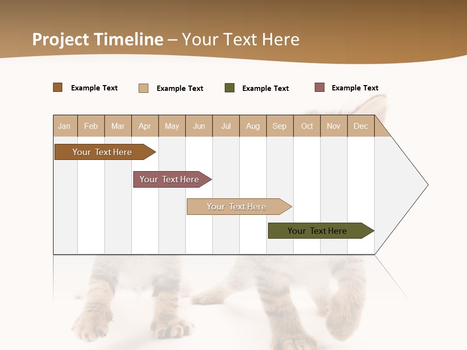 Sweet Furry Isolated PowerPoint Template