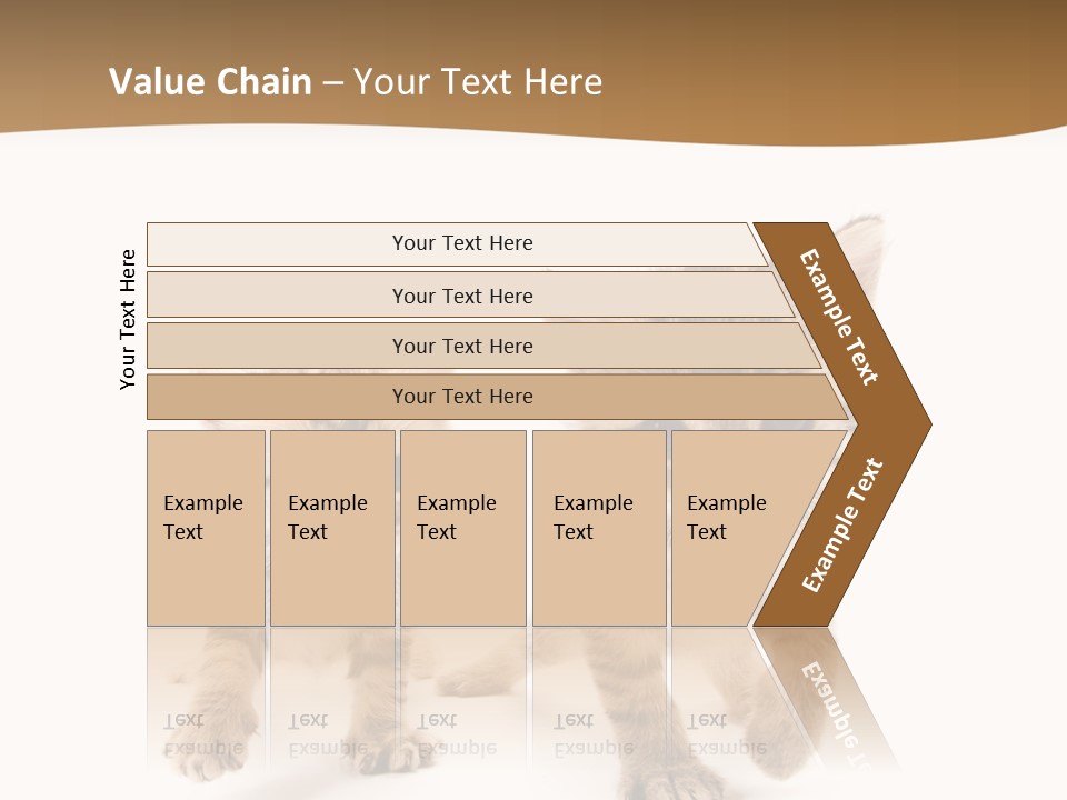 Sweet Furry Isolated PowerPoint Template