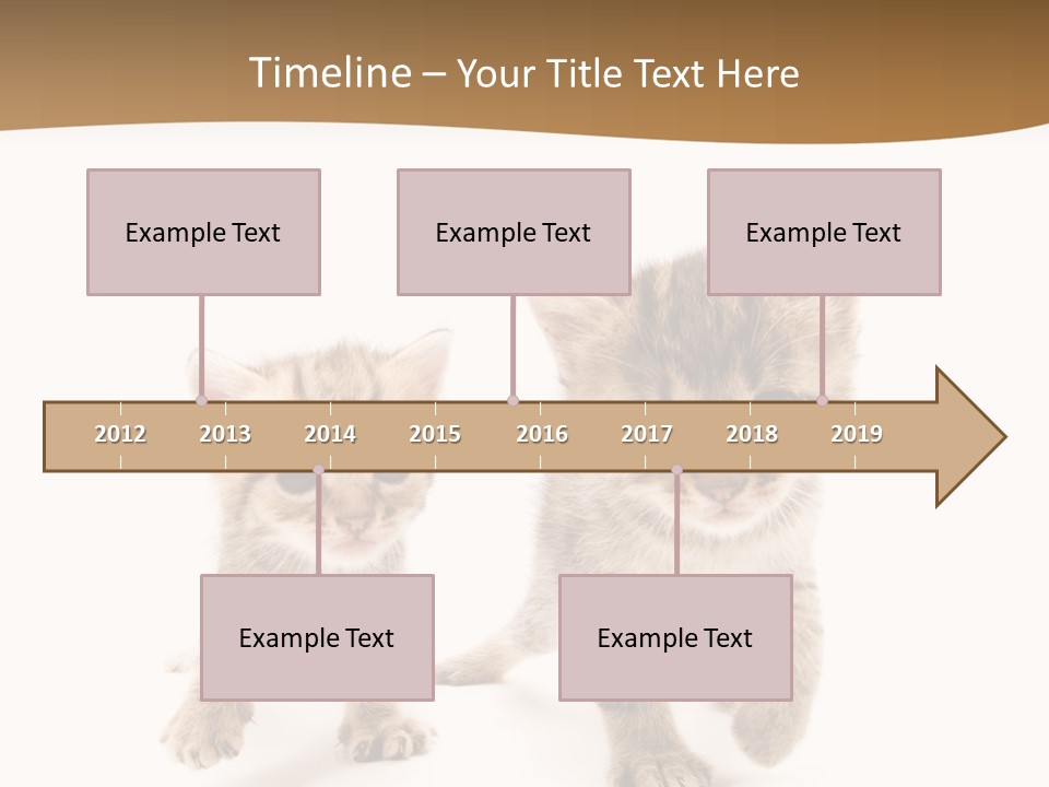 Sweet Furry Isolated PowerPoint Template