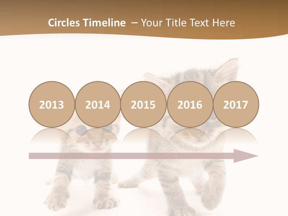 Sweet Furry Isolated PowerPoint Template