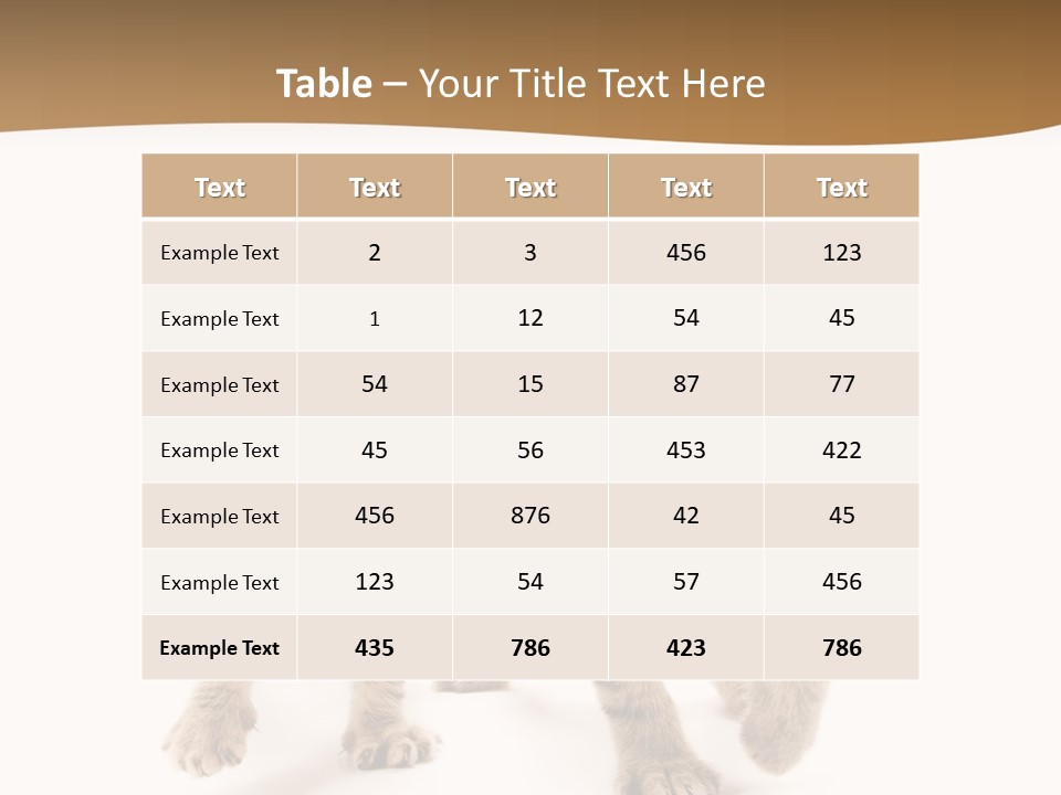 Sweet Furry Isolated PowerPoint Template