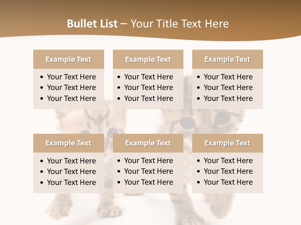 Sweet Furry Isolated PowerPoint Template