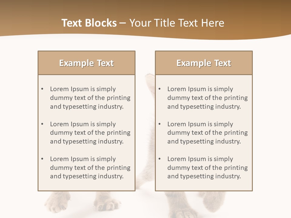 Sweet Furry Isolated PowerPoint Template