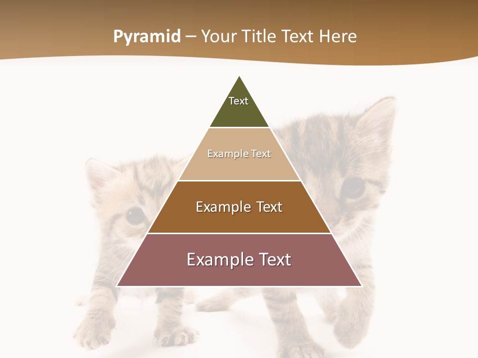 Sweet Furry Isolated PowerPoint Template