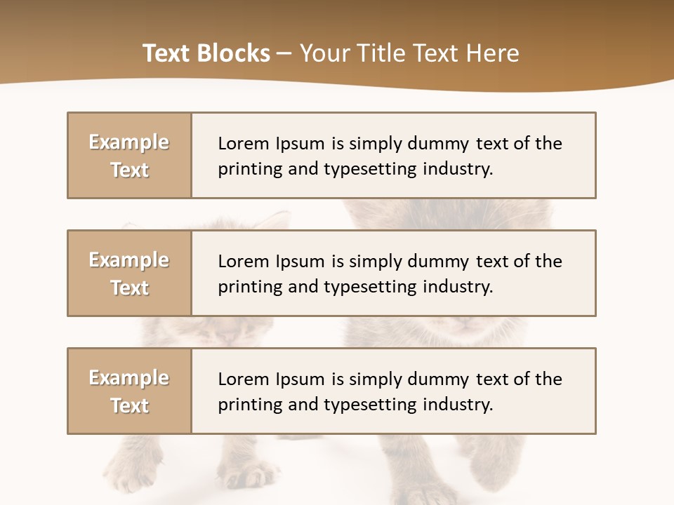 Sweet Furry Isolated PowerPoint Template