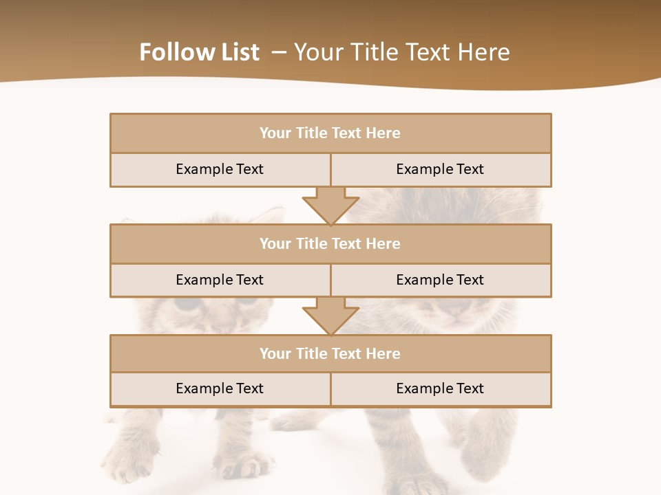 Sweet Furry Isolated PowerPoint Template