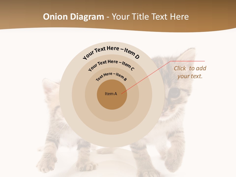 Sweet Furry Isolated PowerPoint Template