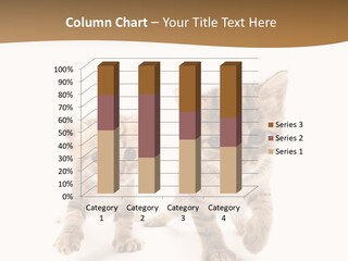 Sweet Furry Isolated PowerPoint Template