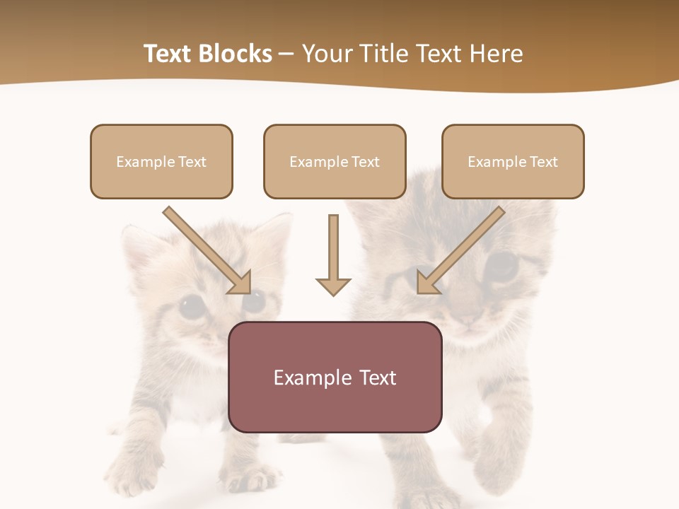 Sweet Furry Isolated PowerPoint Template