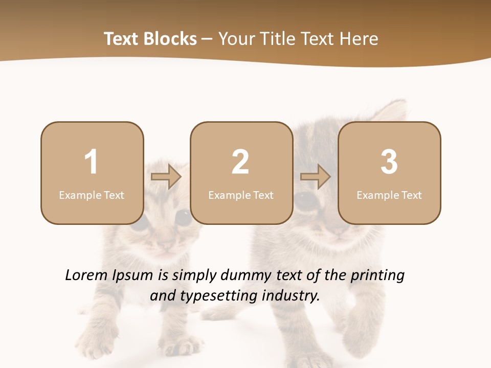 Sweet Furry Isolated PowerPoint Template