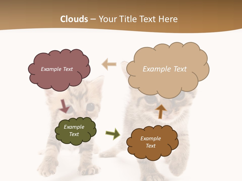 Sweet Furry Isolated PowerPoint Template