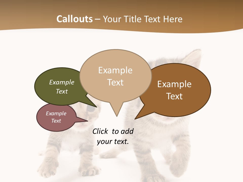 Sweet Furry Isolated PowerPoint Template