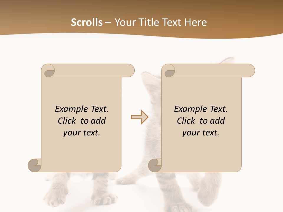 Sweet Furry Isolated PowerPoint Template