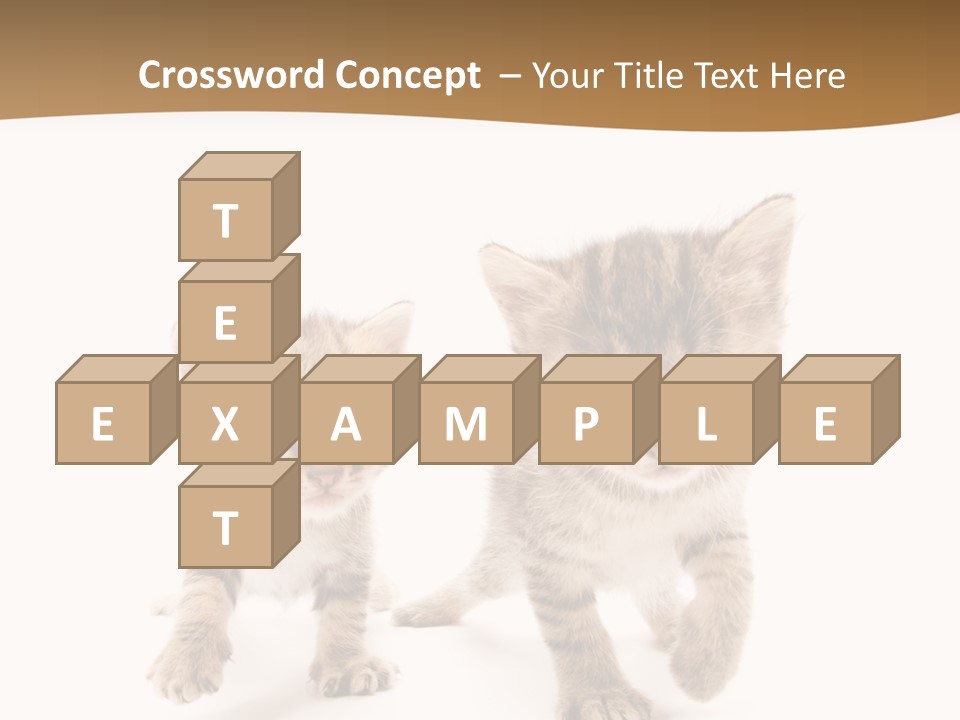 Sweet Furry Isolated PowerPoint Template